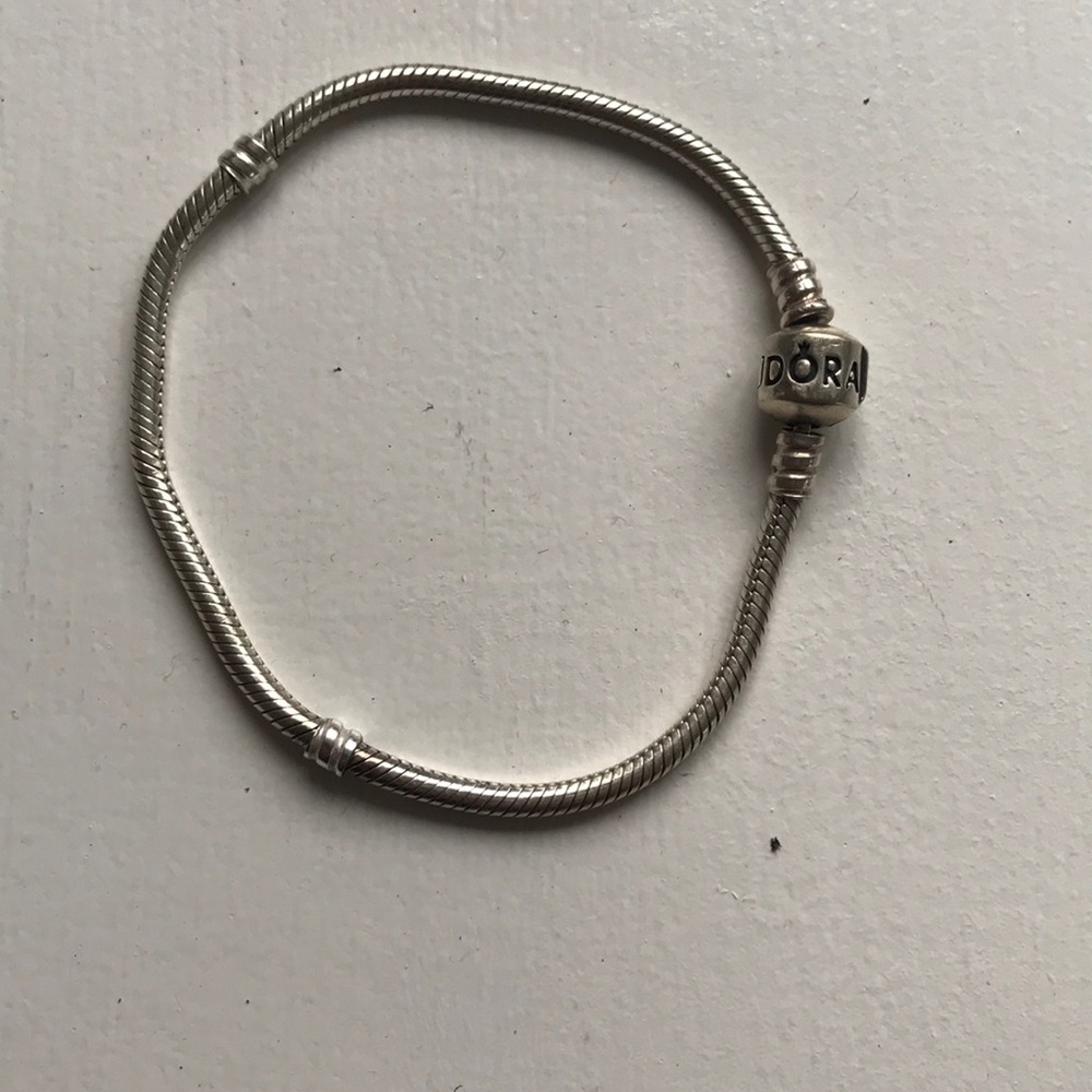 Pandora Charm Bracelet